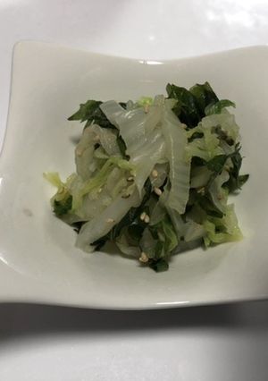白菜のしそ和え-レシピのメイン写真