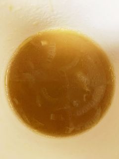 ♡オニオンスープ♡-レシピのメイン写真