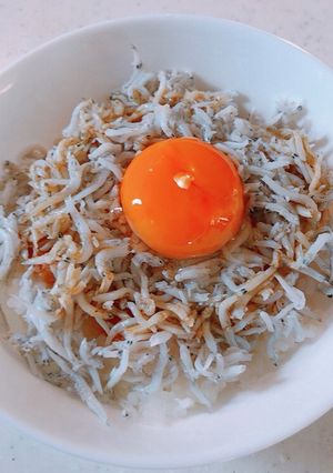 すり方と卵黄で辛くない！しらすおろしご飯-レシピのメイン写真