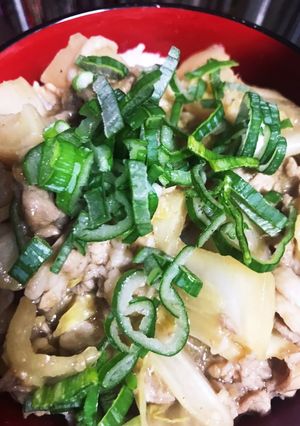 簡単！白菜と豚こまの赤ワイン豚丼-レシピのメイン写真