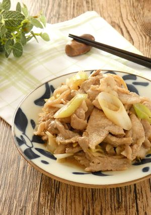 材料4つ★豚肉と長ねぎのマヨポン炒め-レシピのメイン写真