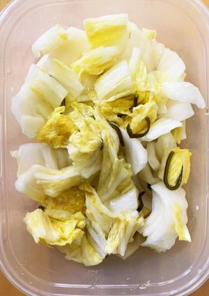 タッパーでもできちゃう♪白菜の浅漬け-レシピのメイン写真