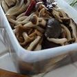 キノコの塩煮