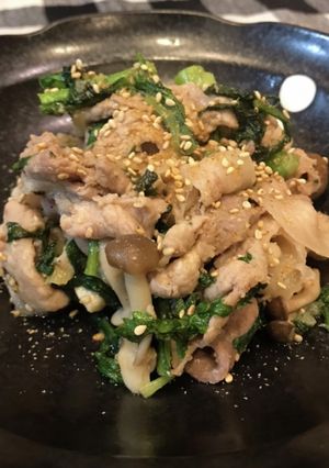 豚こまと春菊の味噌炒め-レシピのメイン写真