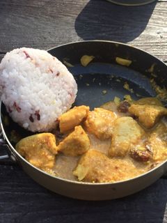 インド風本格ヨーグルトカレー-レシピのメイン写真
