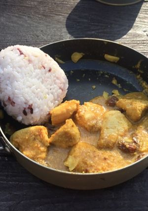 インド風本格ヨーグルトカレー-レシピのメイン写真