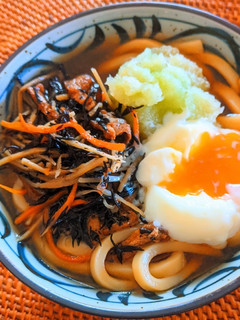 ひじきのきんぴらぶっかけうどん-レシピのメイン写真