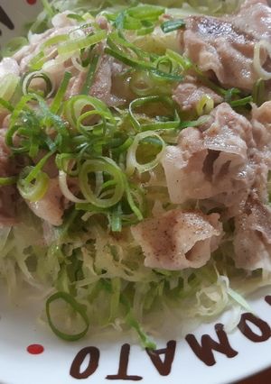 簡単レンチン！豚バラキャベツ-レシピのメイン写真
