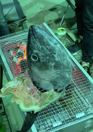 マグロの頭焼き-レシピのメイン写真
