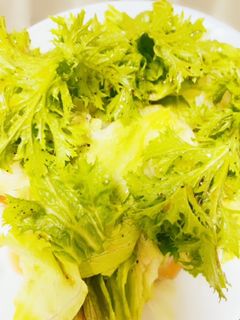レタスドレッシング-レシピのメイン写真