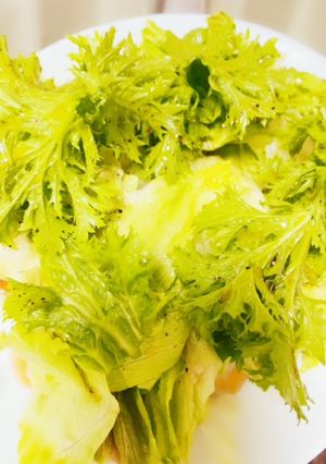 レタスドレッシング-レシピのメイン写真