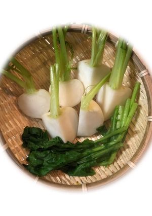 カブの蒸し方(新鮮なカブをゲッツだぜ編)-レシピのメイン写真