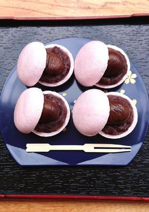 難易度ゼロ~あんこと甘栗マカロン風最中-レシピのメイン写真