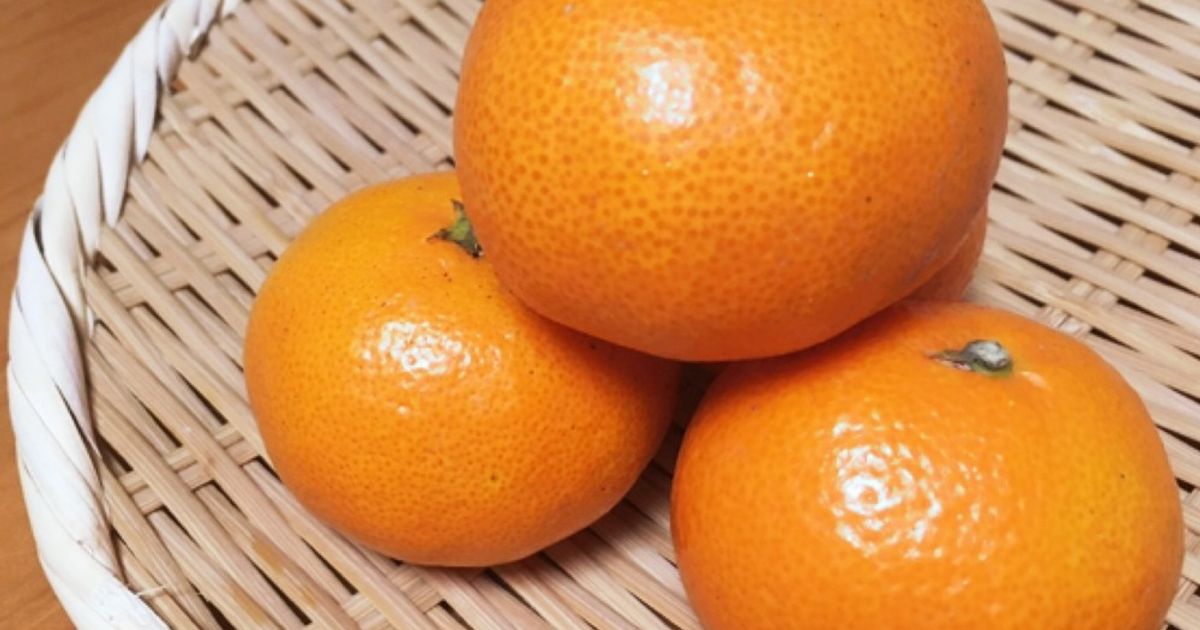 みかんの皮 みかんの皮 果実乾燥果皮 和歌山県和歌山 観音山フルーツ