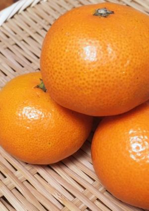 みかんの皮を捨てないで！陳皮の作り方-レシピのメイン写真