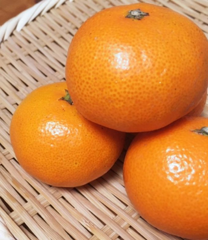 ミカンの皮(力作) Excellent detoxifying effect!] Tangerine peel marinade to