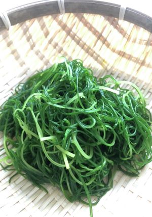 おかひじき(若芽ひじき)をシャキッと♪-レシピのメイン写真