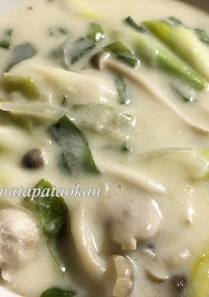 鶏もも肉と白ネギのクリーム煮-レシピのメイン写真