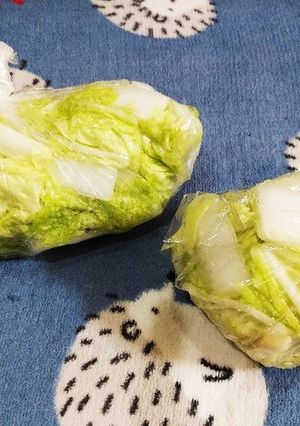 白菜のストック仕込み-レシピのメイン写真