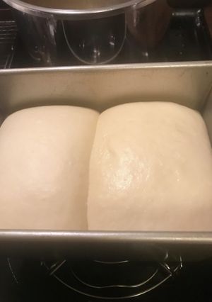 冬の寒い日の食パン生地2次発酵方法-レシピのメイン写真
