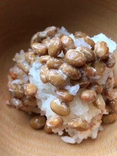 おろし納豆ご飯-レシピのメイン写真