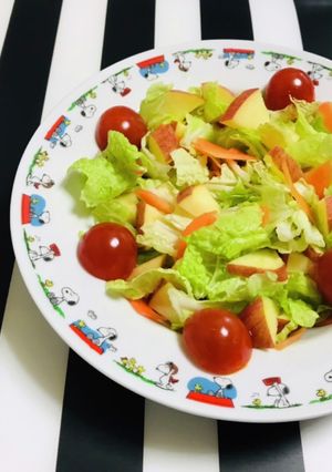 生でも美味しい白菜とリンゴのサラダ-レシピのメイン写真