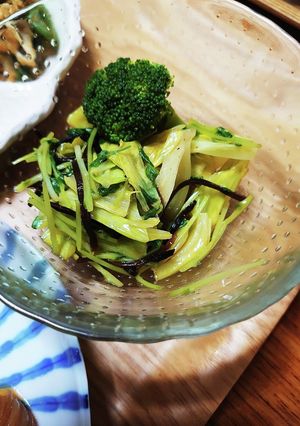 レンチン！キャベツと豆苗のやみつきナムル-レシピのメイン写真