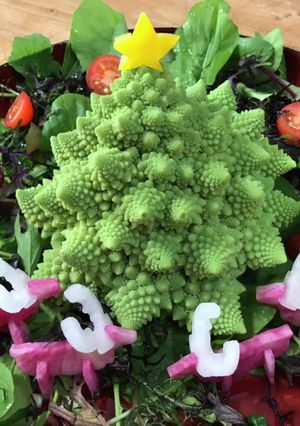 ロマネスコのツリーと紅芯大根のトナカイ-レシピのメイン写真