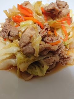 焼き肉のたれで、炒め物!-レシピのメイン写真