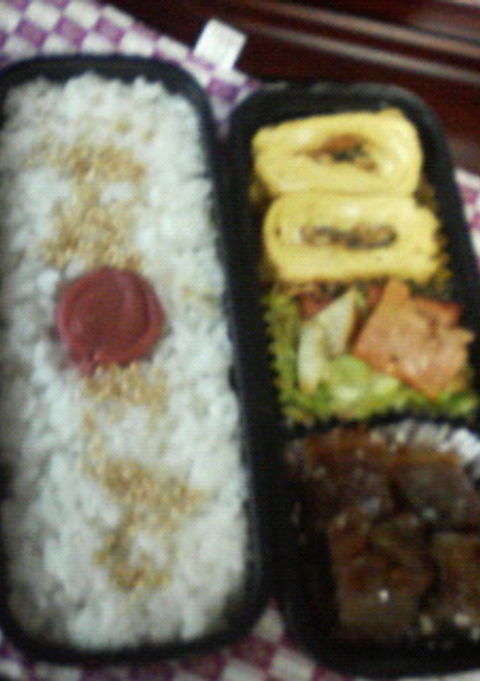 簡単　う巻き弁当-レシピのメイン写真