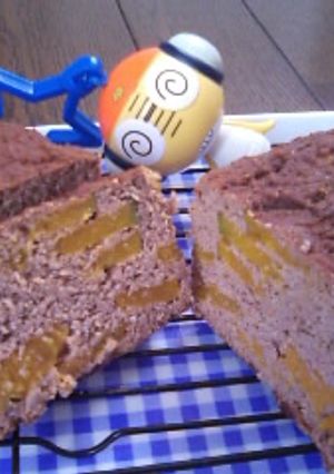 おからのかぼちゃケーキ☆ココア味-レシピのメイン写真