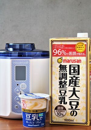 豆乳で作ったヨーグルトで豆乳ヨーグルト-レシピのメイン写真