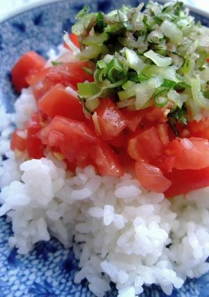 【旨】博多トマト丼-レシピのメイン写真