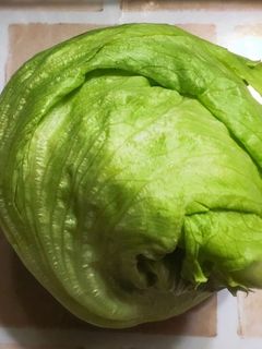 長持ちのコツ☆レタスの長持ち冷蔵庫保存法-レシピのメイン写真