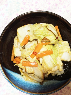白菜(野沢菜)の即席漬物-レシピのメイン写真