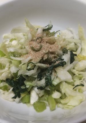 味付けいらず☆野沢菜とキャベツ和え-レシピのメイン写真