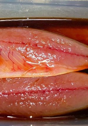 簡単漬けるだけ！さばの醤油漬け-レシピのメイン写真
