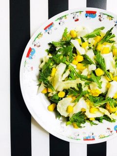 旬の野菜を生で 春菊と白菜のサラダ-レシピのメイン写真