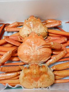 蟹を食べた後に蟹の殻で作るカニ玉スープ-レシピのメイン写真