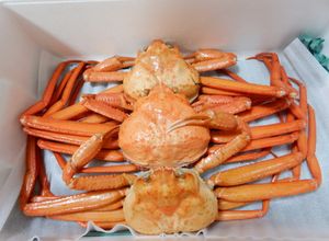 蟹を食べた後に蟹の殻で作るカニ玉スープ-レシピのメイン写真