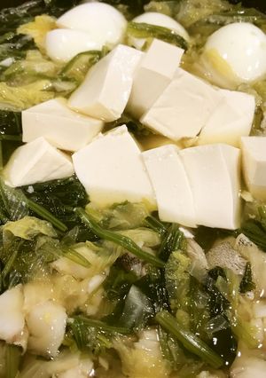 野菜たっぷり優しい味のしょうゆ鍋♪-レシピのメイン写真