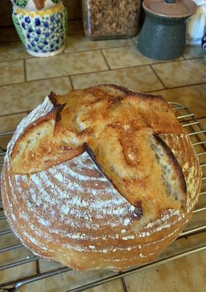 Sourdough Bread w/WW-レシピのメイン写真