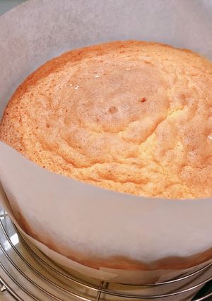 スポンジケーキ-レシピのメイン写真