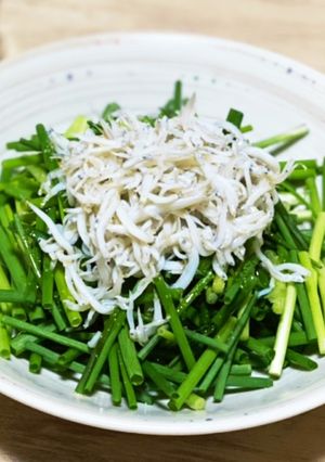 1分で出来る!!ネギとしらすのごま油かけ-レシピのメイン写真