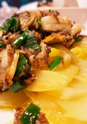 白菜ON鯖缶ソース！-レシピのメイン写真