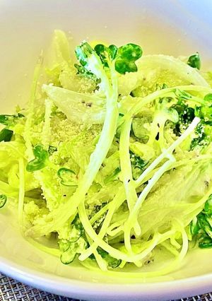 簡単！レタスのチーズサラダ　タロの弁当-レシピのメイン写真