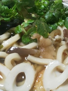 6種天然キノコとクレソンの超絶新春うどん-レシピのメイン写真