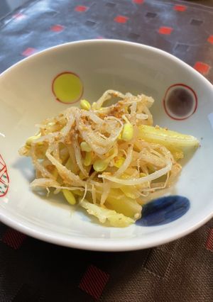 もやし×キャベツのシャキシャキ胡麻味！-レシピのメイン写真