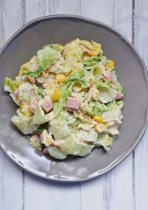 簡単・おすすめ♪白菜の胡麻マヨサラダ-レシピのメイン写真