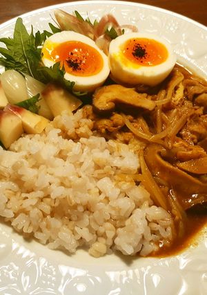 もやし入り　発酵玉葱のカレー　-レシピのメイン写真